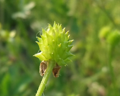 �L�c�l�m�{�^���H