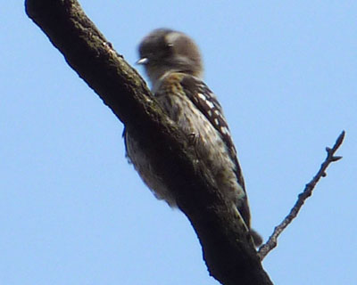 �_�_�_�_�_�_