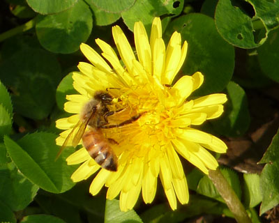 �ӊO�ɑ�������