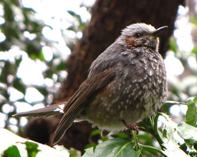 �����Ԃ��Ă݂�