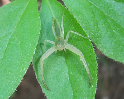 ��둫���Z��