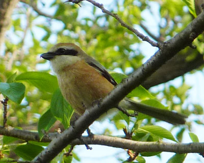 ��������݂���