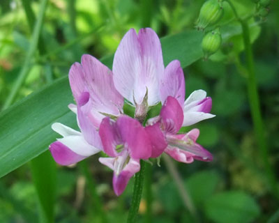 �����Q��D��