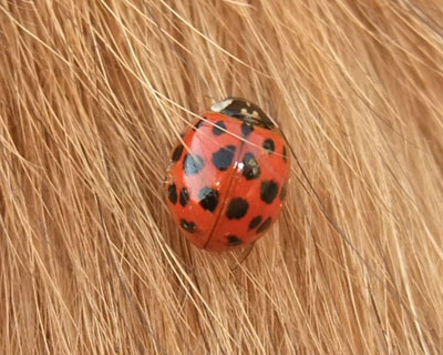 �������茢�ɂ̂��Ă��܂���