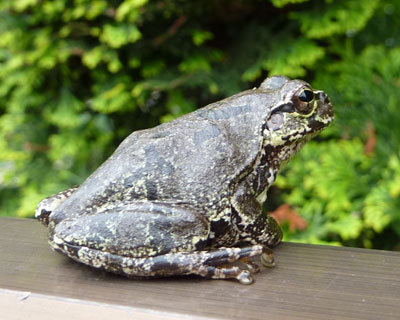 �N�����Ă��܂����炵��