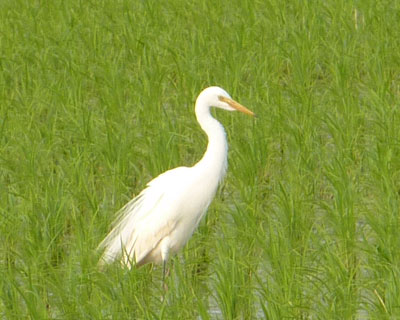 �����`���E�T�M