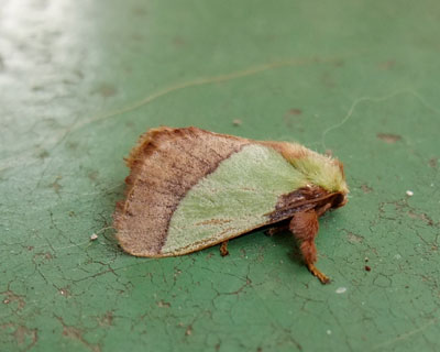 �����Ă������Ǒ����������x