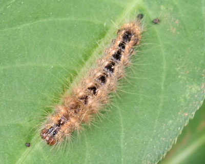 ���������̂͂������̕s��