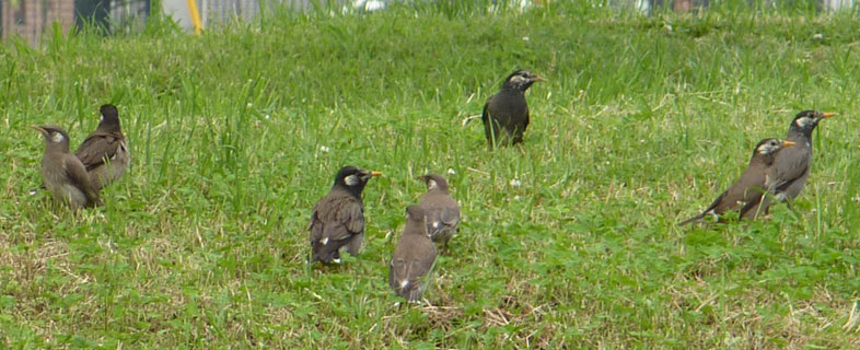 �q���N�h����T���I