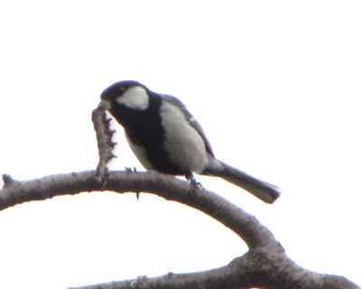 �^��ł��Ė��āA�����Z