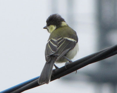 �����̉��ɗ���