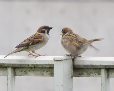 �e������ƃv���v�����Ă��܂�