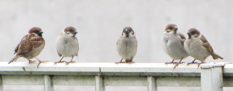 �������r�i��T���I