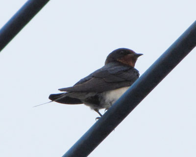 �ׂ̗D�Ǖ����Ɏ��̓��������܂����炵��