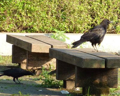 �����̐e�q