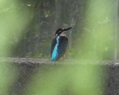 �����p���ł��䖝