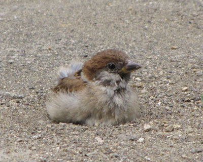 ��������ΕK���v���v��