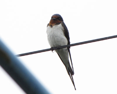 ���N�͂悭�c�o��������