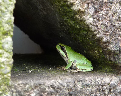 �u���b�N���ɂ͂��܂�