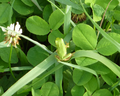 �ق�A����Ȃɏ�����