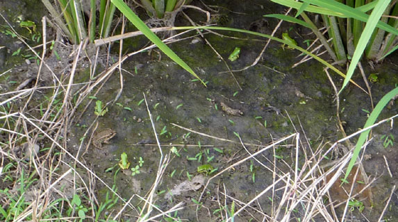 �A�}�K�G����T���I�㋉��