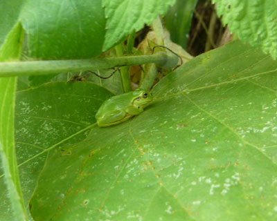 ��L�Ԃł��낮