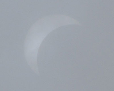 �{�Ԃ͈�u�������������H