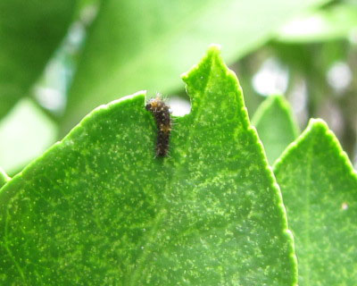 �������q���H��