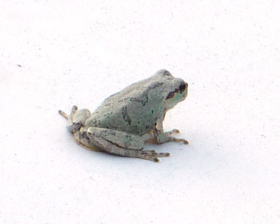 �����Ԃɏ�������ǁA�����͂Ȃ�Ȃ������̂�