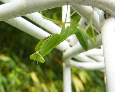 ������������J�����ڐ�