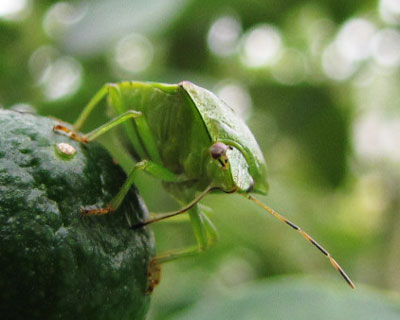 �����`�`�`