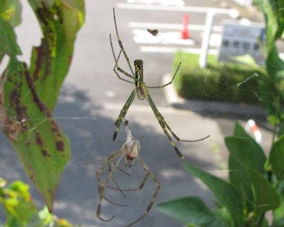 �E������͎̂ĂȂ�