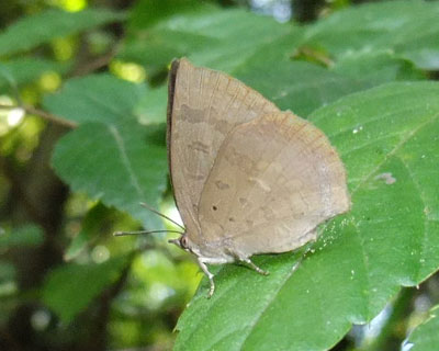 �����T�L�V�W�~�炵�����ǁA�����n��������