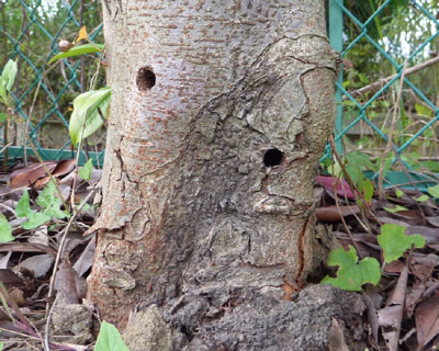 �J�~�L�����V���o�����ƁH