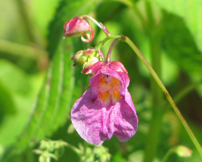 �a���łł��Ă�H