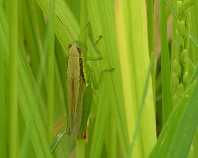 �������N�A�����Ă��܂����C�i�S