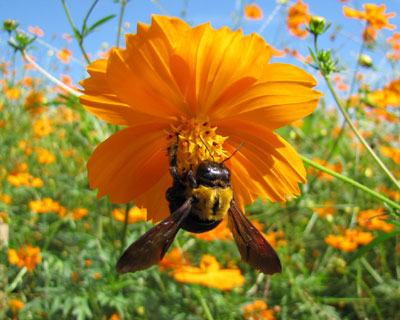 �d�����ăR�X���X������