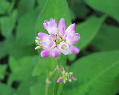 �~�]�\�o����