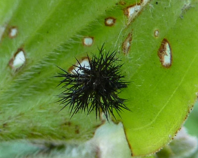 �E������H