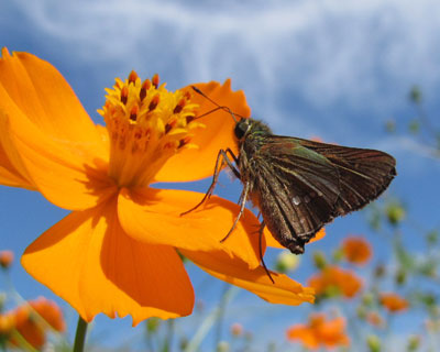 �n���Ȃ̂ŁA���������ꏊ�ɂ���Ə�����