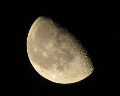 SX20�̃f�W�^���e���R���͈ӊO�ɂ�����