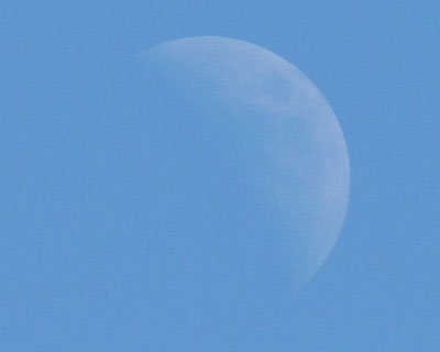 �ł����̂��炢�����ƃs���g�͍����ɂ���