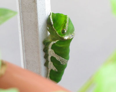 �x�����_�̍�Ɉړ����ė��������Ă���悤��������