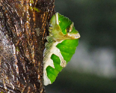 �����͏k���܂��Ă���