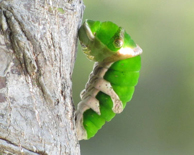 �����͂��܂�ς��Ȃ���������