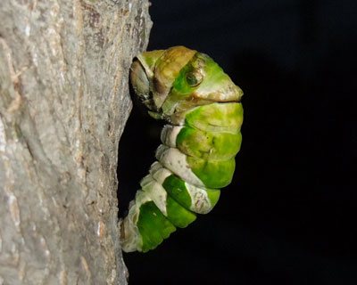 �ォ�犣�������i��