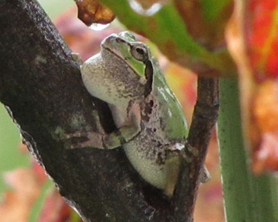 �H�𖞋i���Ă���