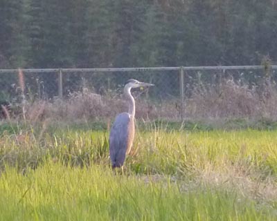 �悭�c��ڂŉ��Ή����Ă�A�I�T�M