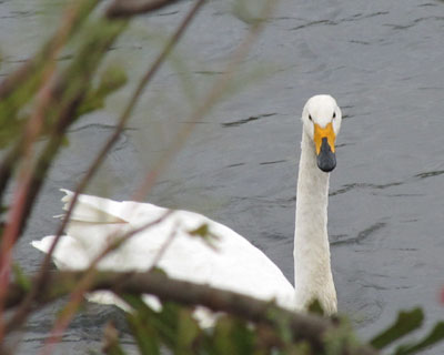 �ߏ��̐�ɏZ�ݒ������I�I�n�N�`���E