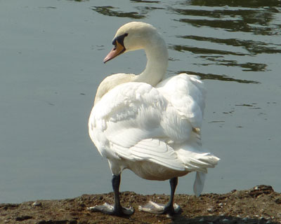 �݂�ȂȂ��Ă܂�